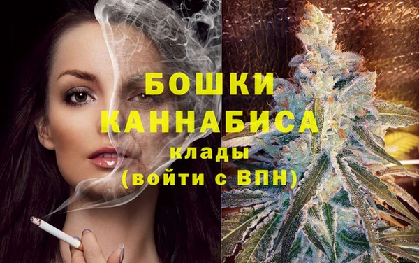 2c-b Богородицк