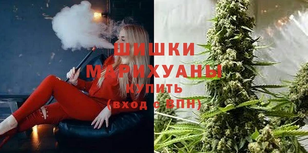 2c-b Богородицк