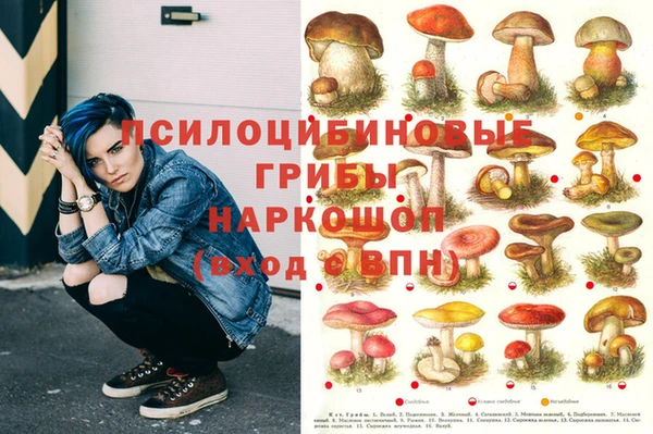 2c-b Богородицк