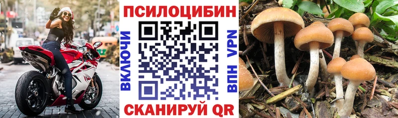 Галлюциногенные грибы Magic Shrooms  Малоярославец 
