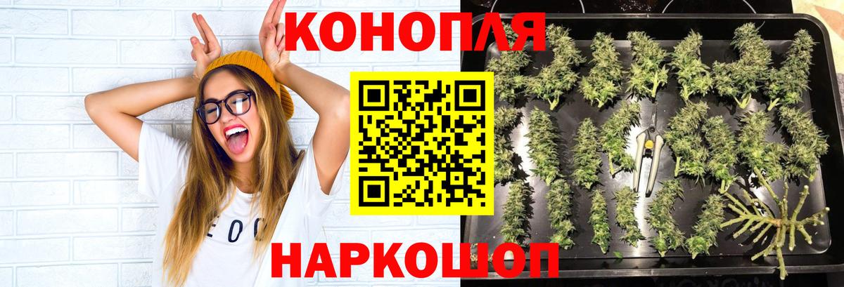 МАРИХУАНА конопля Малоярославец