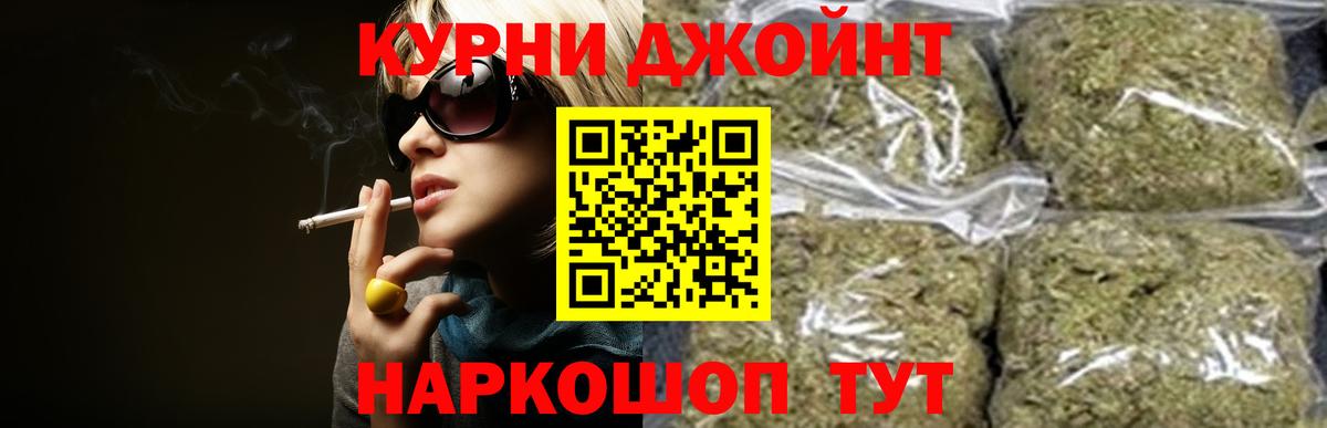 Конопля сатива  Конопля Bruce Banner  Малоярославец  Бошки марихуана конопля  Вход с VPN 